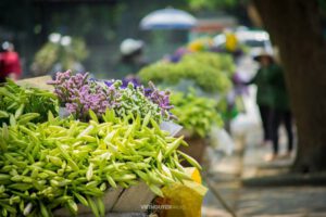 Tháng tư gọi hoa loa kèn về trên phố… 6247a35240e6c.jpeg